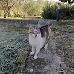Apartmán Su Kiniperu